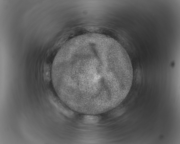 X0000115210234200911251515