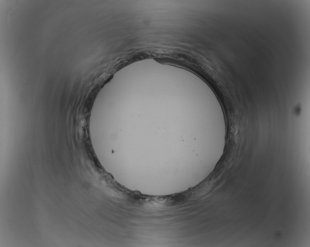 X0000115210235200911251515