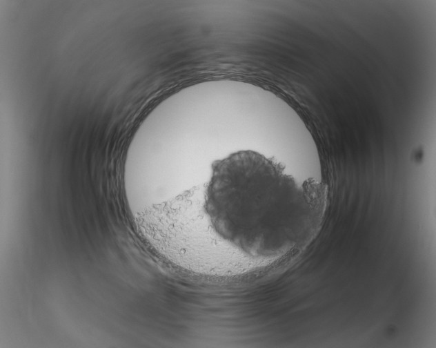 X0000115210236200911251515