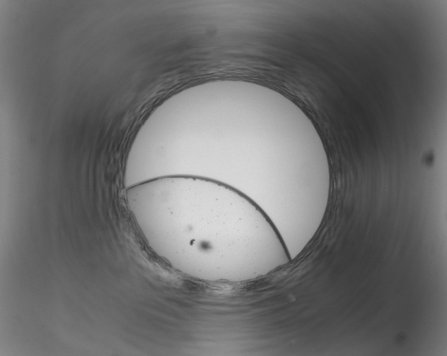 X0000115210237200911251515