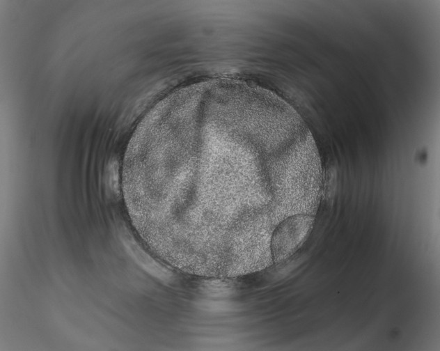 X0000115210238200911251515