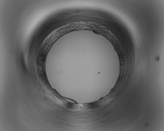 X0000115210239200911251515