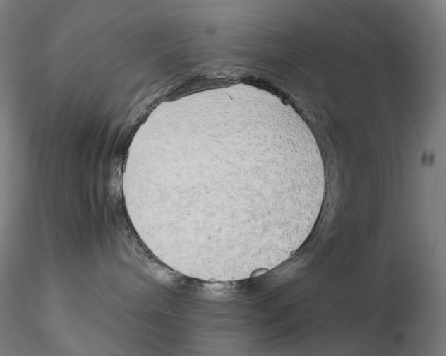 X0000115210240200911251515