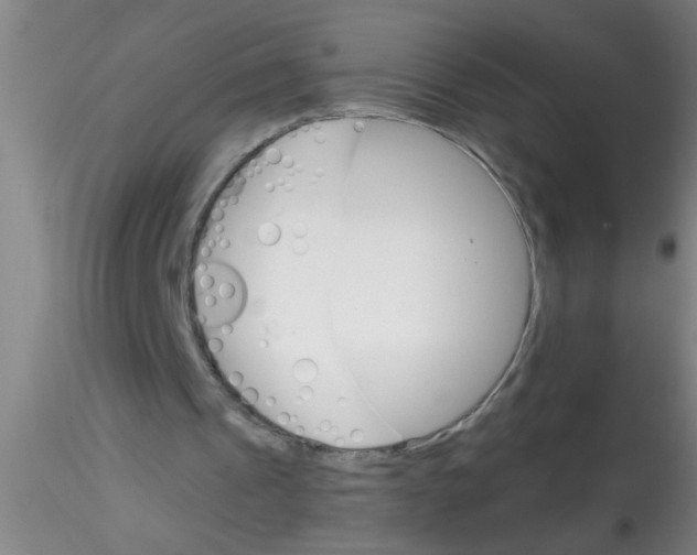 X0000115210241200911251514