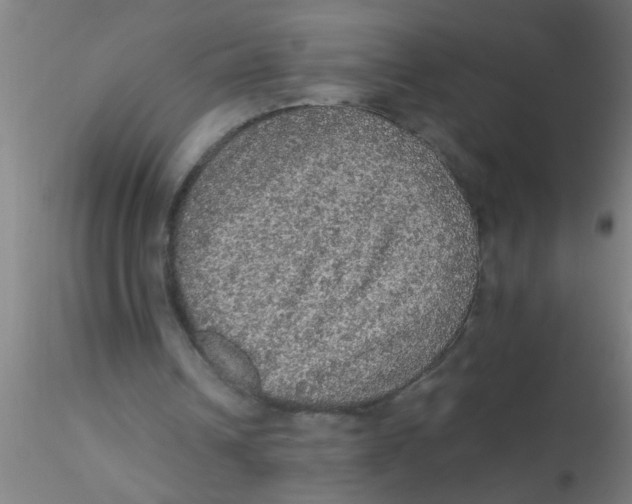 X0000115210242200911251514