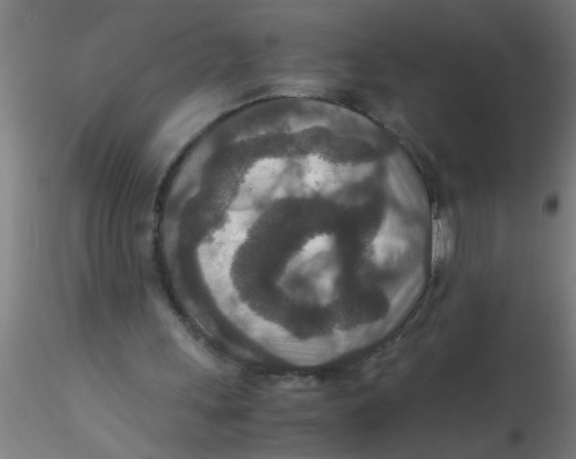 X0000115210243200911251514