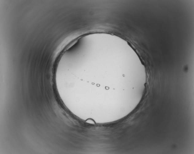 X0000115210244200911251514