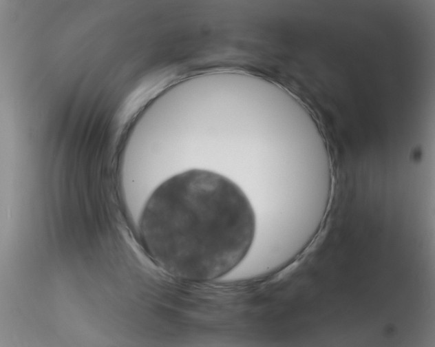 X0000115210245200911251514