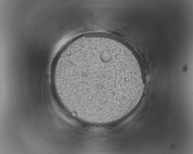 X0000115210246200911251514