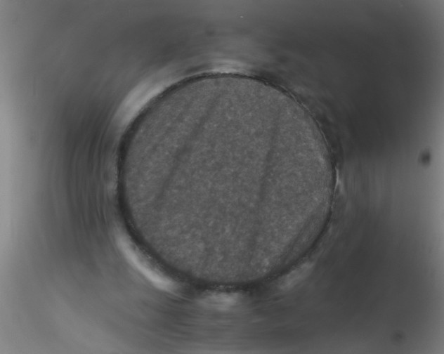 X0000115210247200911251514