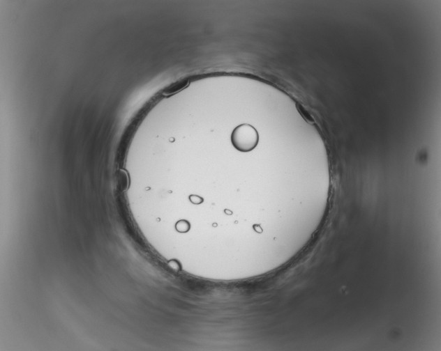 X0000115210248200911251514