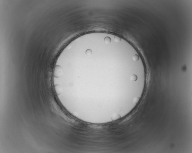 X0000115210249200911251514