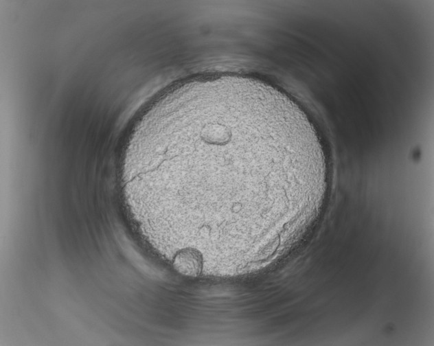 X0000115210250200911251514