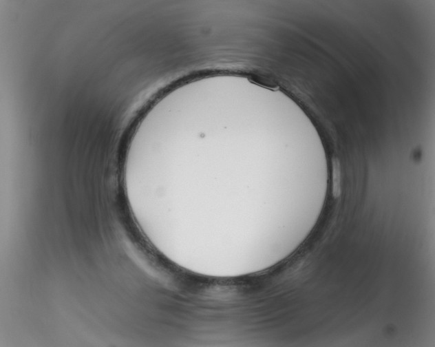 X0000115210252200911251514