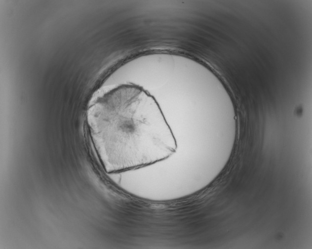 X0000115210253200911251514