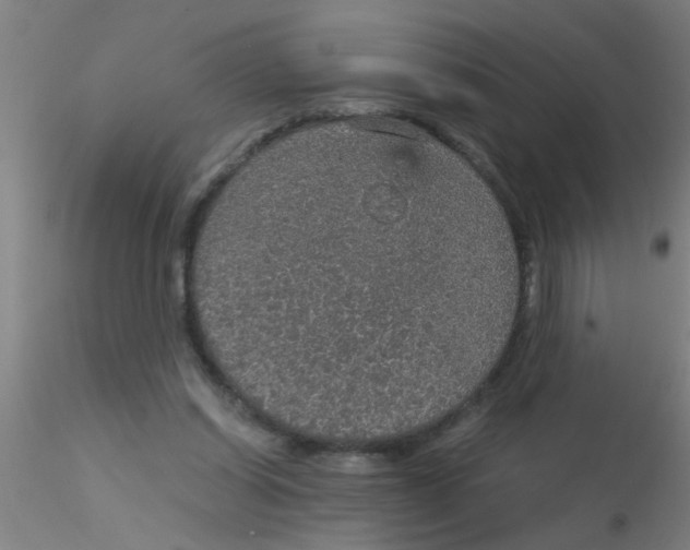 X0000115210254200911251514