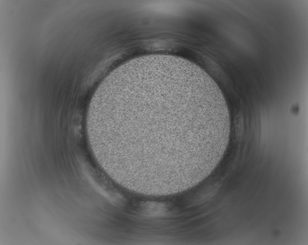 X0000115210255200911251515