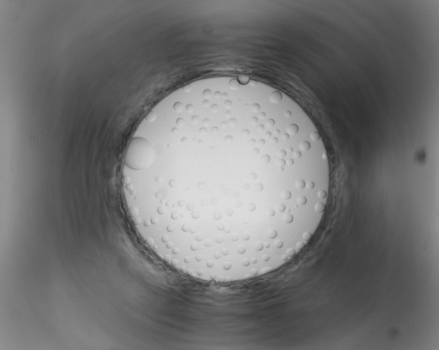 X0000115210257200911251515