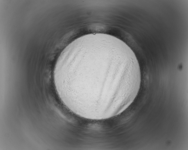 X0000115210259200911251515