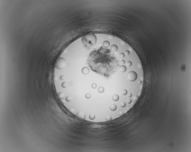 X0000115210261200911251515