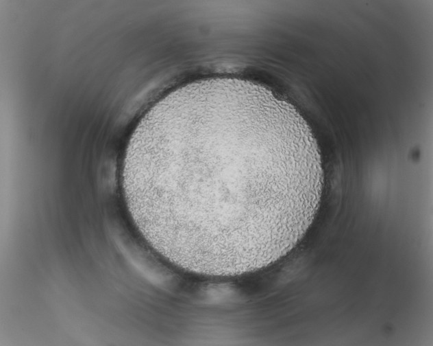 X0000115210262200911251515