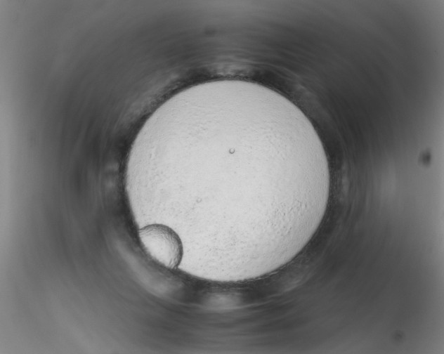 X0000115210263200911251515