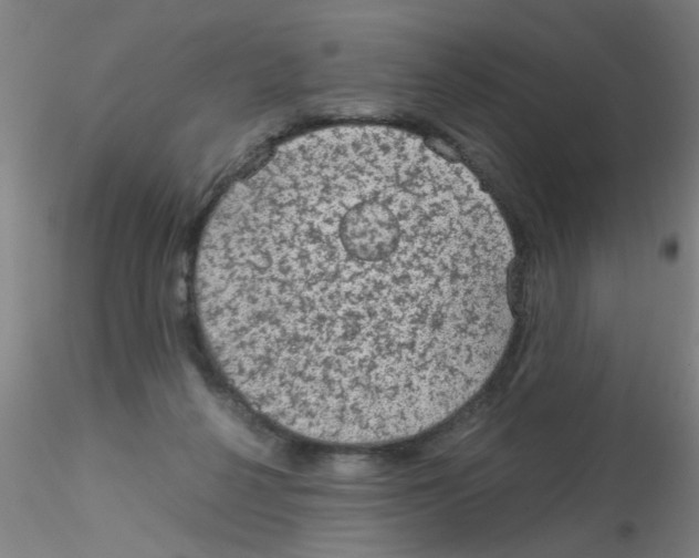 X0000115210264200911251515