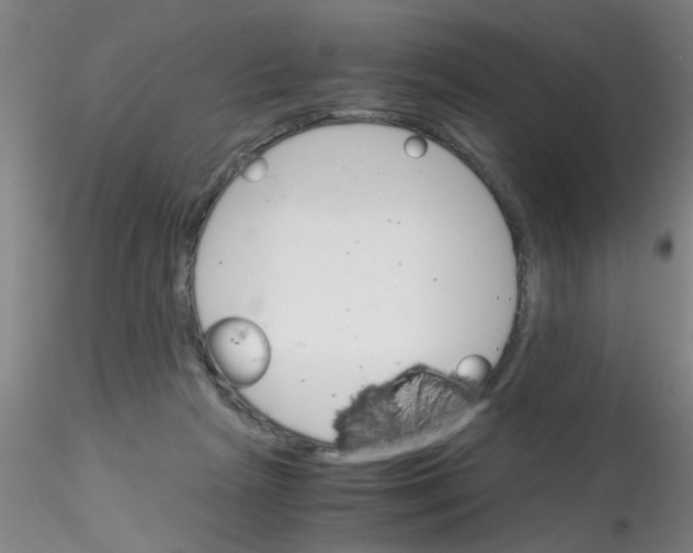 X0000115210265200911251515