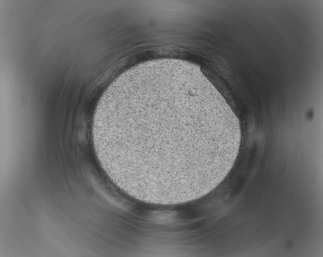 X0000115210266200911251515