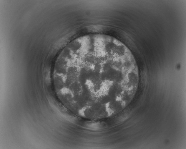 X0000115210267200911251515