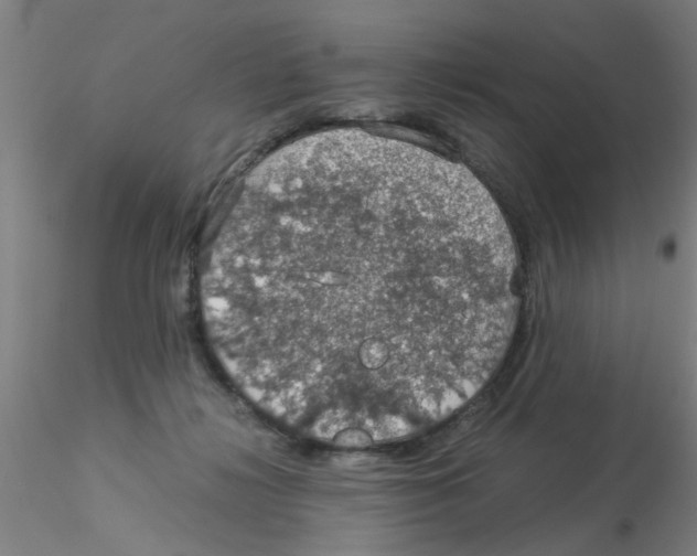 X0000115210268200911251515