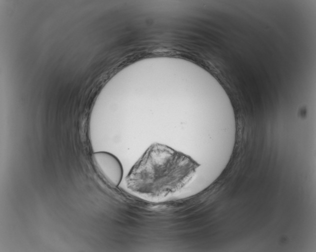 X0000115210269200911251515