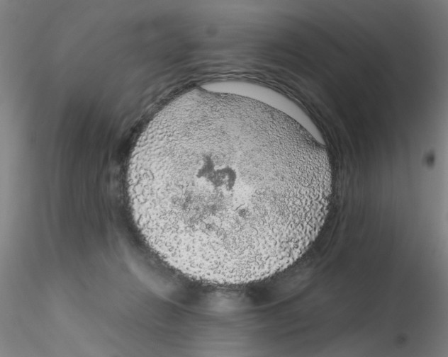 X0000115210270200911251515