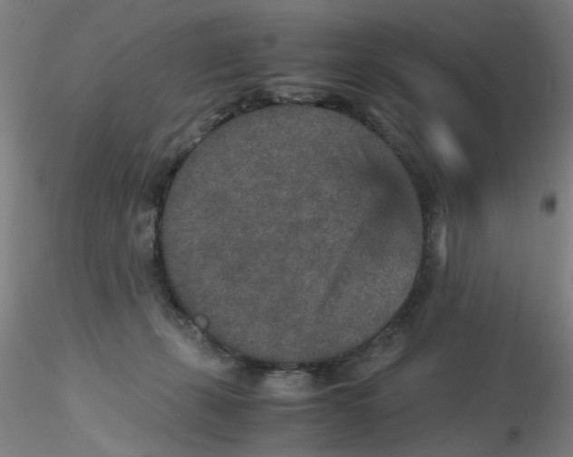 X0000115210271200911251515