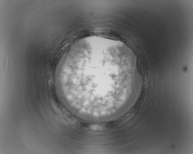 X0000115210272200911251515