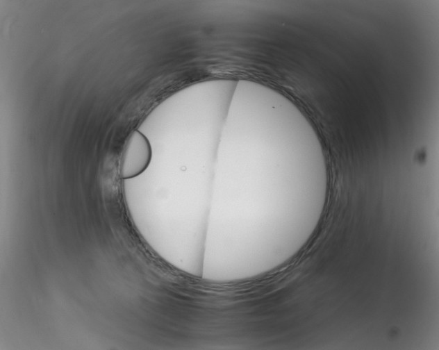 X0000115210273200911251515