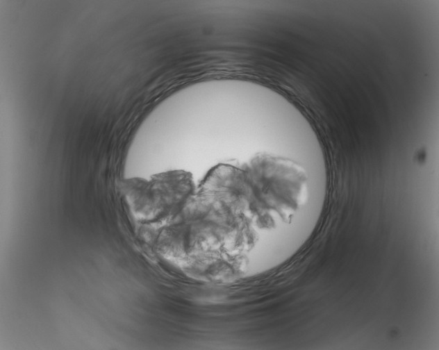 X0000115210277200911251515