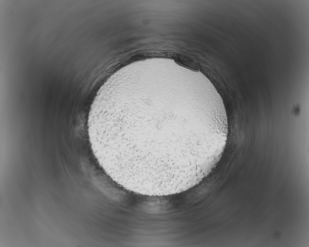 X0000115210278200911251515