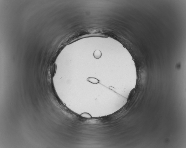 X0000115210280200911251515