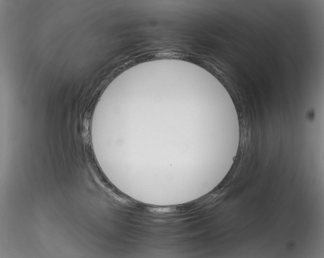 X0000115210281200911251515