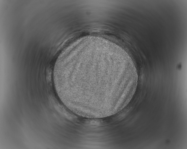 X0000115210282200911251515