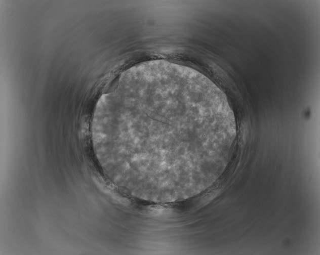 X0000115210284200911251515