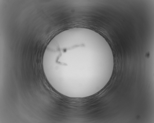 X0000115210285200911251515