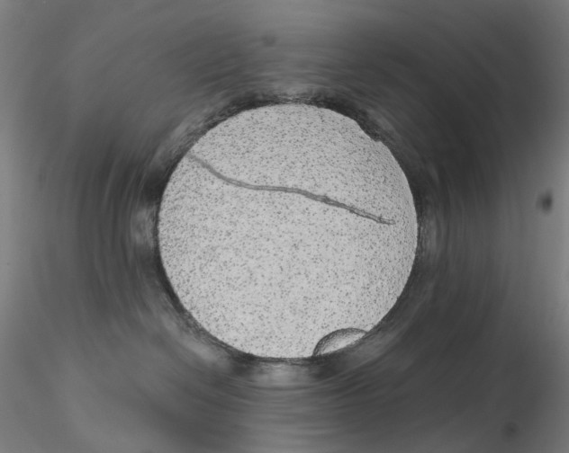 X0000115210286200911251515