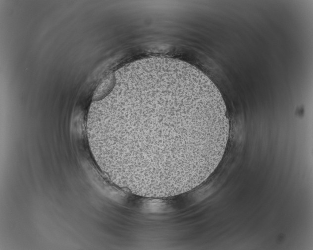 X0000115210287200911251515