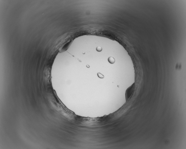 X0000115210288200911251515