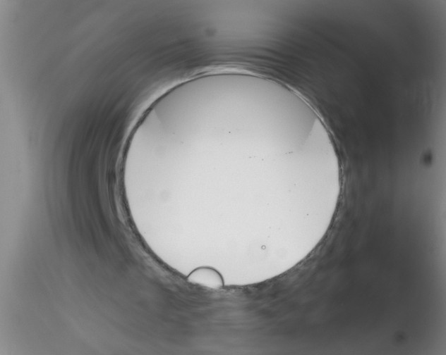 X0000115210289200911251514