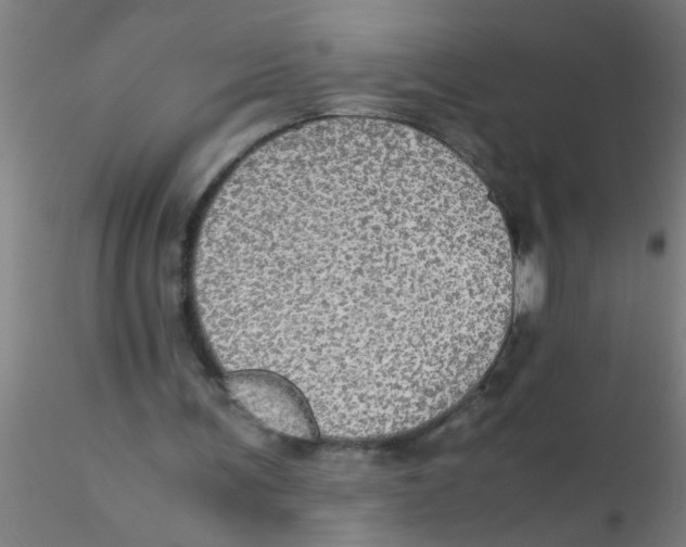 X0000115210291200911251514