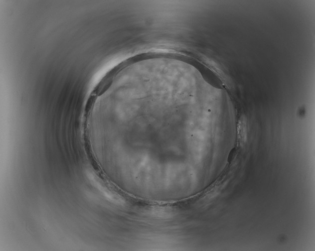 X0000115210292200911251514