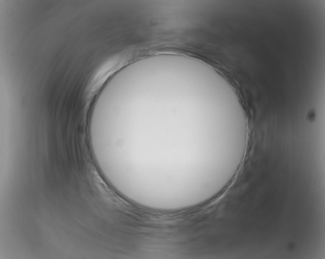 X0000115210293200911251514